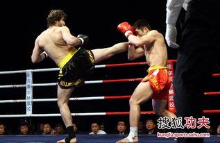 武术散打视频,传统技艺与现代竞技的完美融合