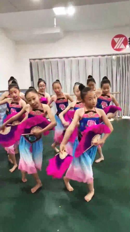 民族舞蹈教学视频,领略多元文化魅力，跟随舞步传承民族风情