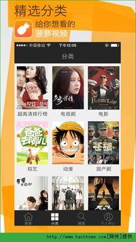 菠萝 视频,探索热带风情，尽享视觉盛宴