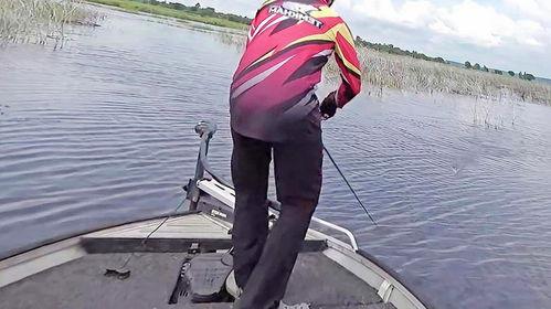 路亚技巧教学视频