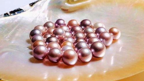 珍珠是怎么形成的视频