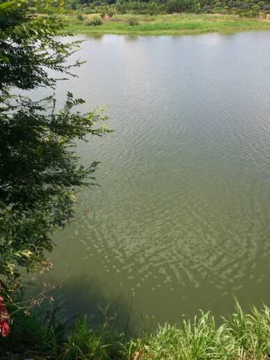 海杆浮钓视频,视频教学带你轻松掌握海洋垂钓艺术