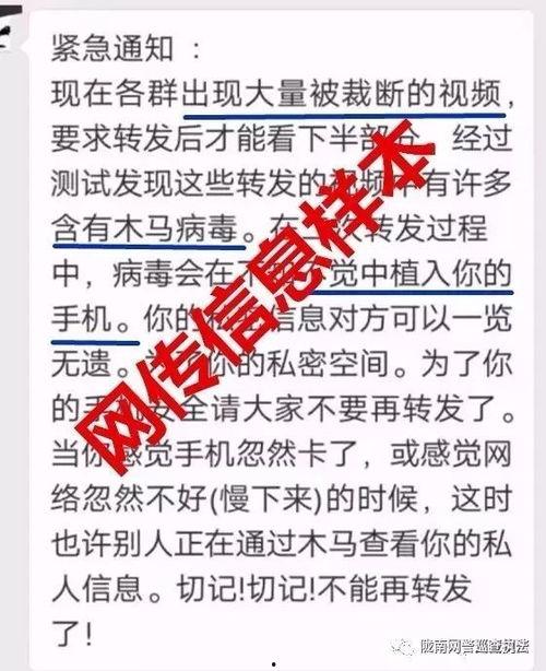视频会有病毒吗,揭秘“视频会有病毒”的真相与防范措施