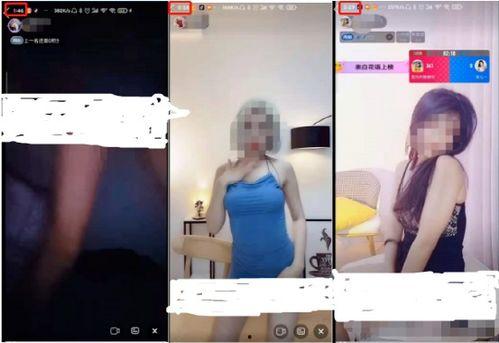 成人免费视频网大全,海量资源一网打尽