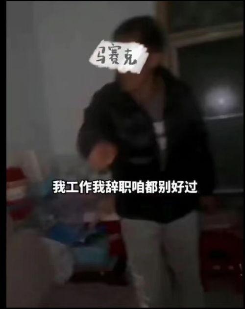 乱系列视频,揭秘混乱中的秩序之美