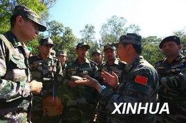 中国陆军训练视频,中国陆军实战化训练风采掠影