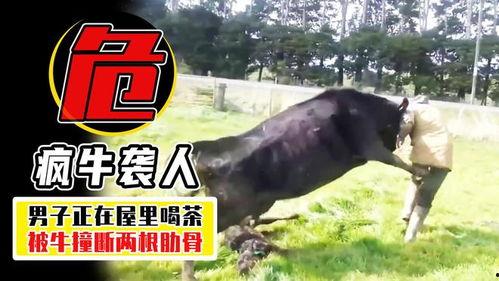 疯牛 视频,病毒起源、传播与防控策略