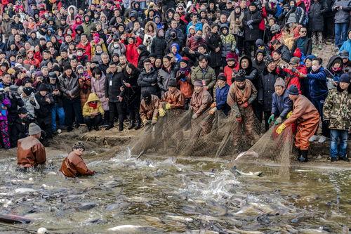 卧龙湖冬捕节视频,千年渔歌起——冬捕节盛况掠影”
