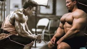 健健美视频,打造完美身材的健身秘籍解析