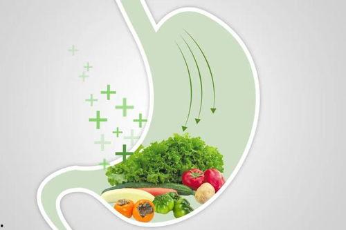 按胃视频,揭秘胃视频中的营养与健康知识