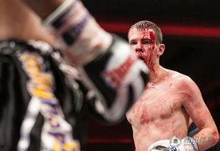 世界顶级黑市拳赛视频,揭秘世界顶级黑市拳赛惊心动魄瞬间