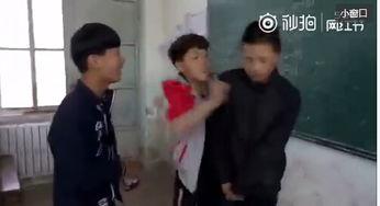 云南学校打架事件视频,冲突瞬间引发社会关注
