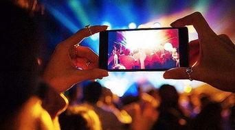 五雷掌视频,传统武术精髓与现代演绎