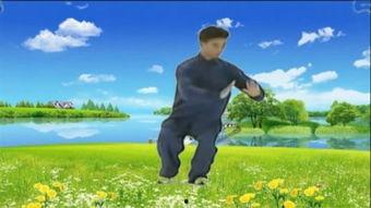 马畅56式太极拳视频,传承经典，展现太极拳魅力