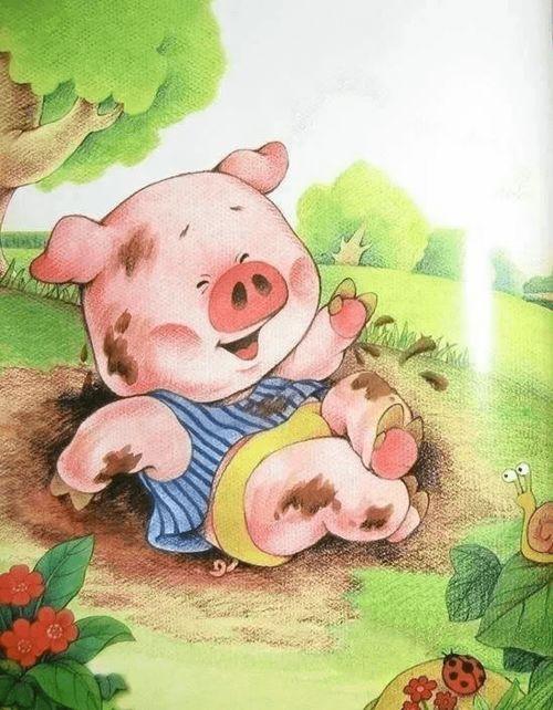 小猪变干净了故事视频,蜕变成长记