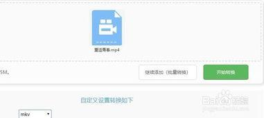 视频转换在线,视频内容轻松概述