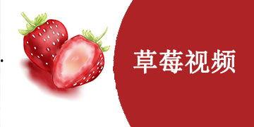 草莓视频永久,探索无限创意的短视频乐园