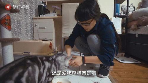铲屎官视频,宠物生活趣味瞬间大揭秘