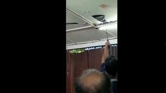 坠视频,探寻事件背后的真相与谜团